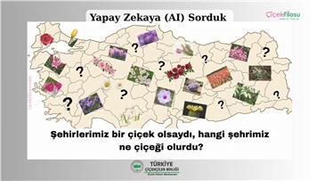 Şehirlerimiz Bir Çiçek Olsaydı