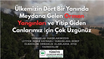 Ormanlarımız Yarınlarımızdır