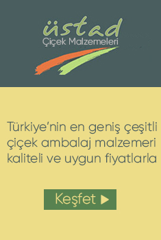 cicek aksesuarlari